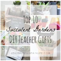 Top 10 DIY Succulent Gardens – Teacher Appreciation Gifts